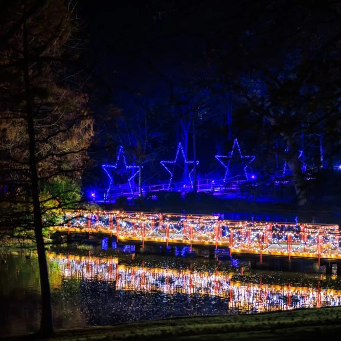 12 Dec 2026 – Canterbury & Leeds Castle Christmas Lights Trail