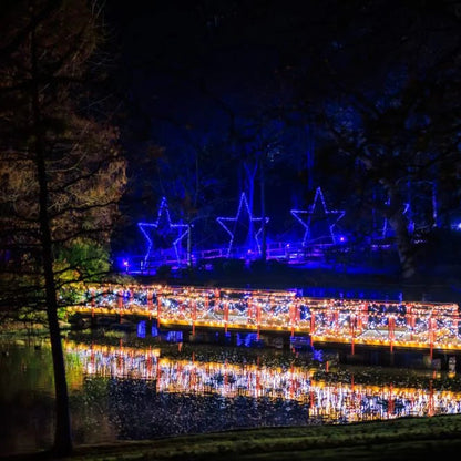 12 Dec 2026 – Canterbury & Leeds Castle Christmas Lights Trail