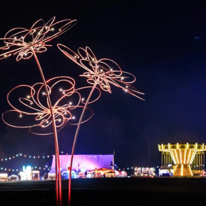12 Dec 2026 – Canterbury & Leeds Castle Christmas Lights Trail